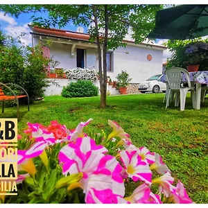 Bed & Breakfast Colori Della Versilia, Montignoso